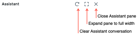 icons at the top of the assistant pane