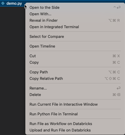 Run File on Databricks context menu command