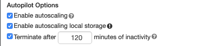 Enable autoscaling local storage