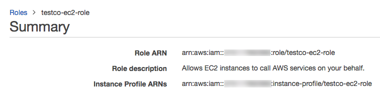 ARN instance profile