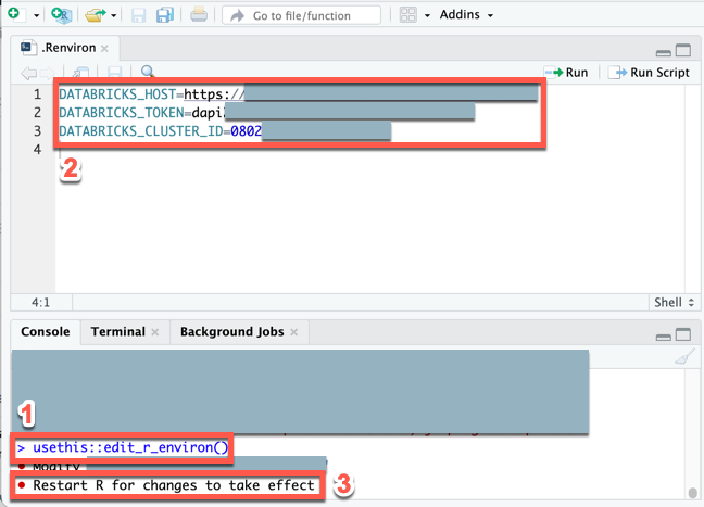 Defina a variável de ambiente para Databricks Connect