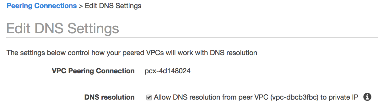 Enable DNS Resolution