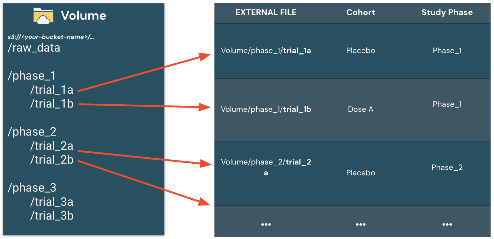 A diagram of a UC volume containing trial files organized under phase folders, mapped to an EXTERNAL FILE column. Each table row references a file by its volume path and adds structured columns such as Cohort and Study Phase.