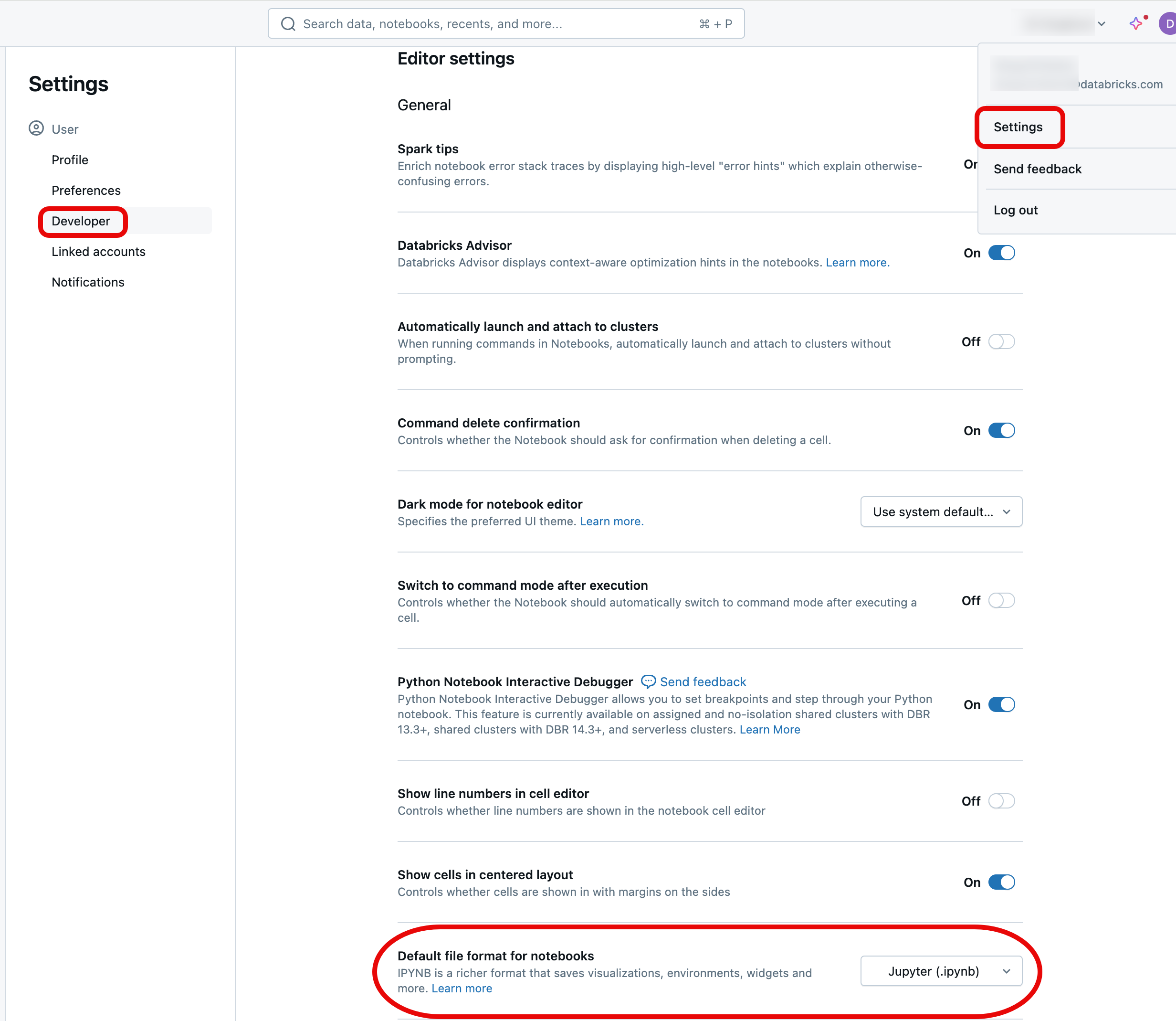 Modifier le format de Notebook par default dans les paramètres développeur de votre profil