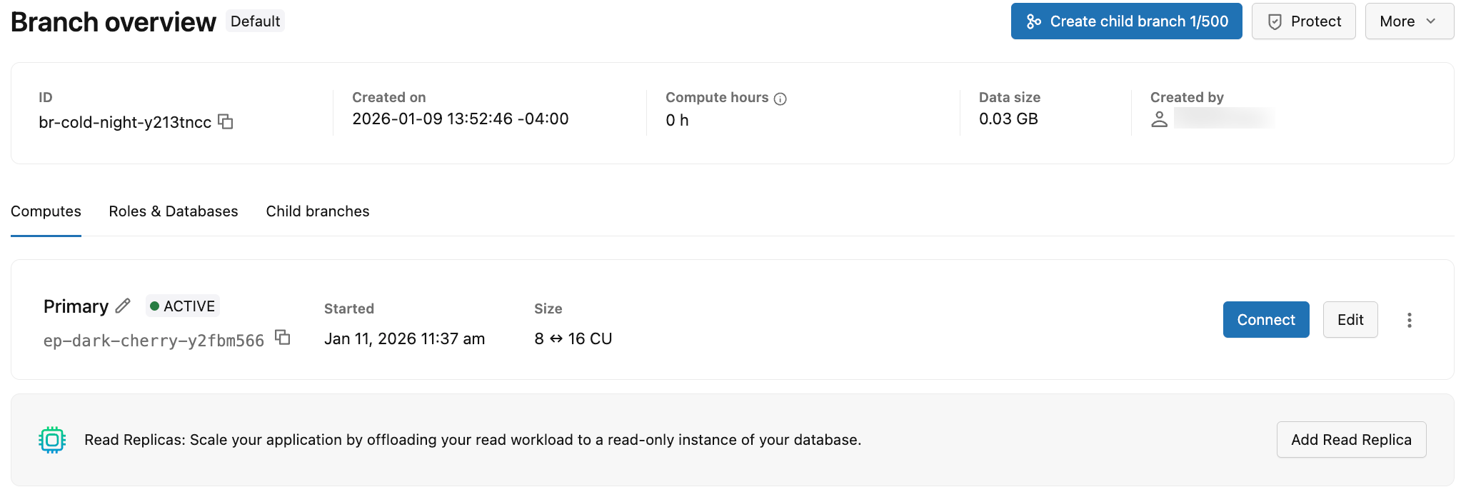 tab de computação mostrando informações compute