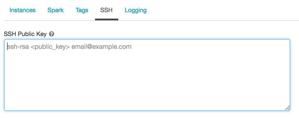 SSH input